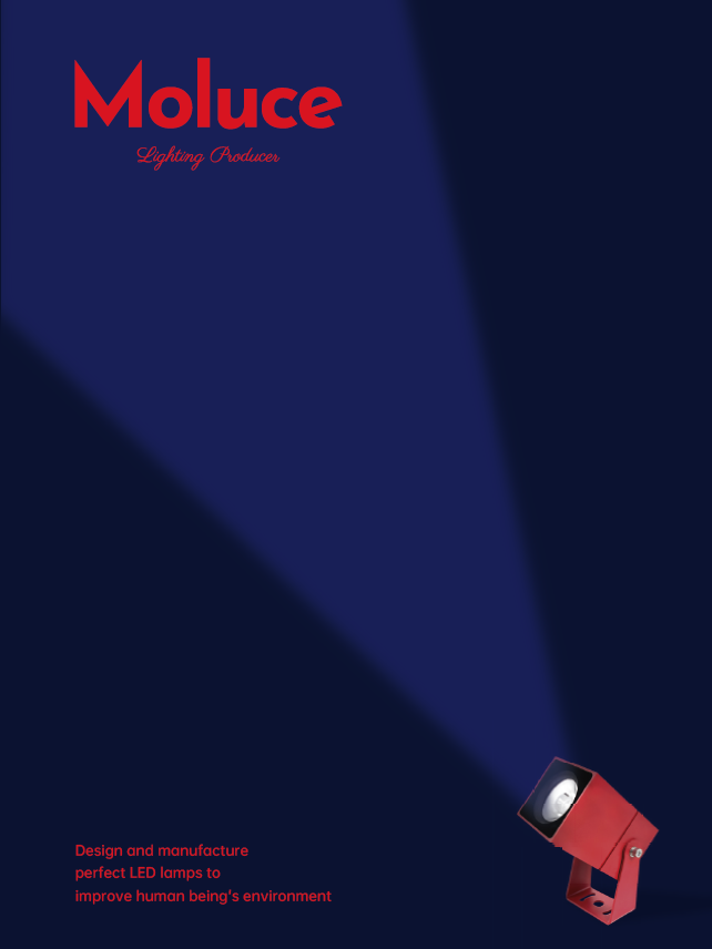 Moluce Lighting Catalogue 2026.pdf
